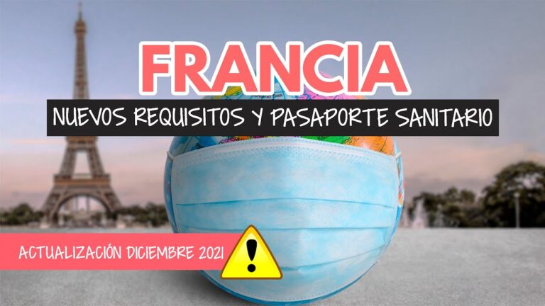 Descubre la importancia de los antígenos para viajar a Francia: todo lo que debes saber